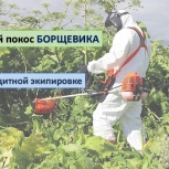 Покос борщевика в Казани и пригороде, Казань